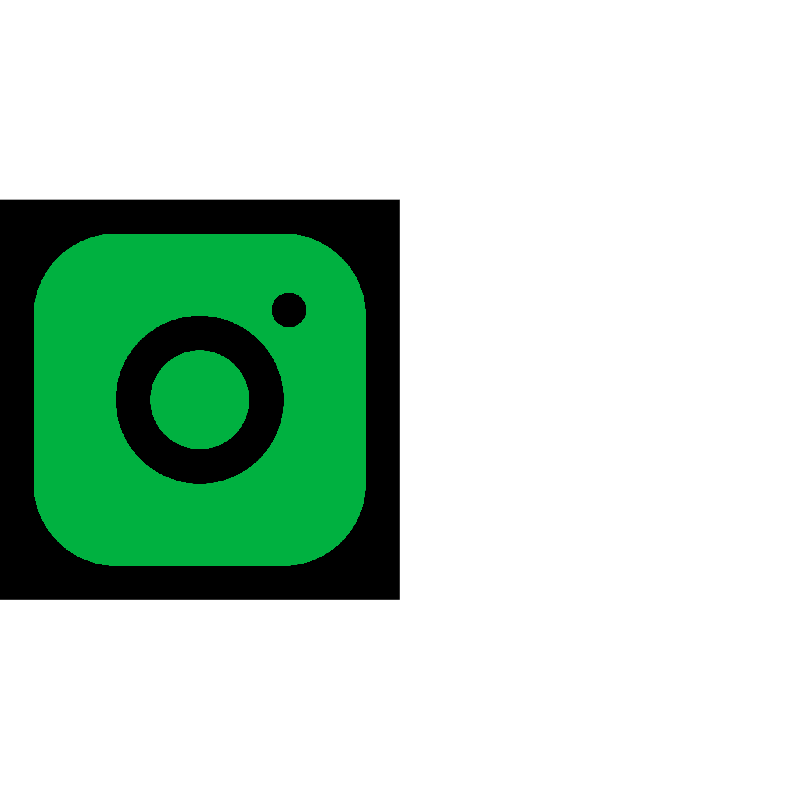 insta button